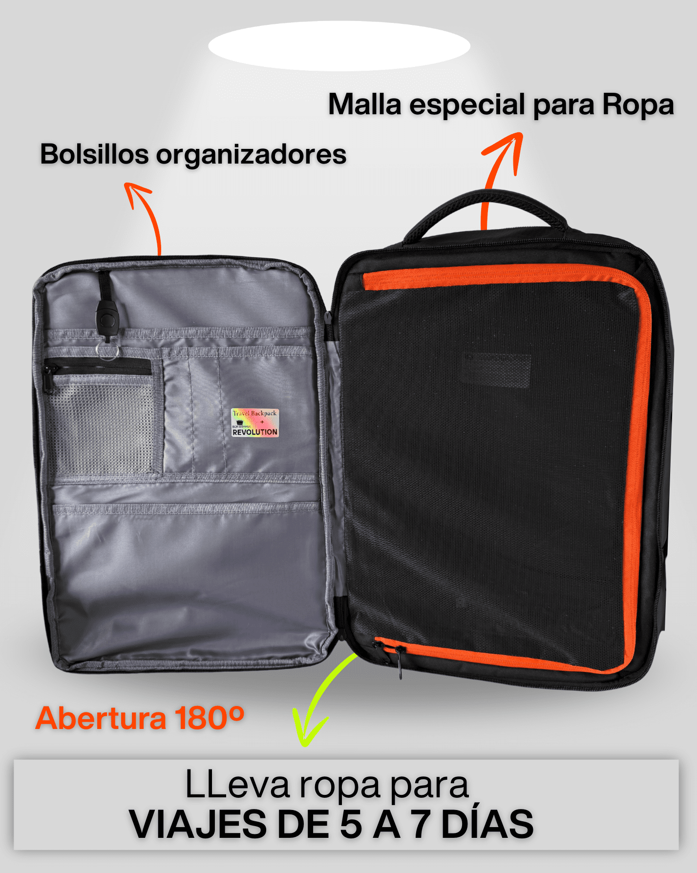 captura-de-pantalla-2026-01-11-a-la(s)-7_optimized.01.50 p.m.