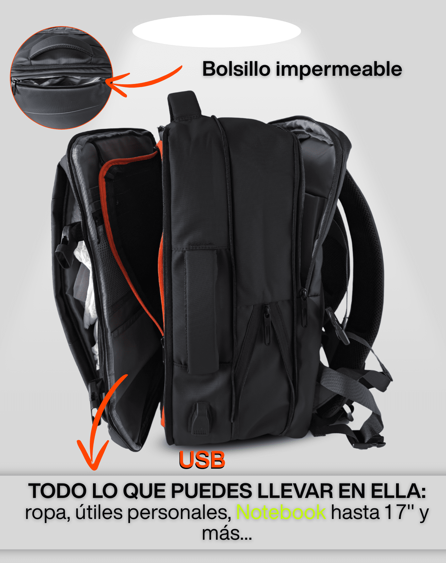 captura-de-pantalla-2026-01-11-a-la(s)-7_optimized.04.07 p.m.